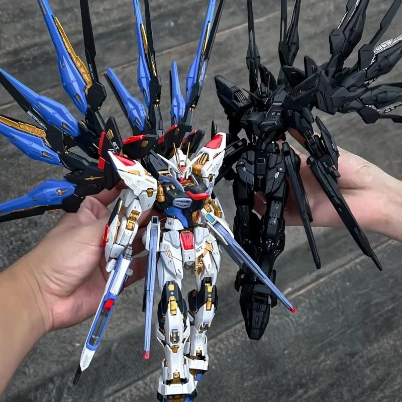 CHANGLONG Model 7701 MGEX ZGMF - Model Kit Perfect Grade 评论和价格