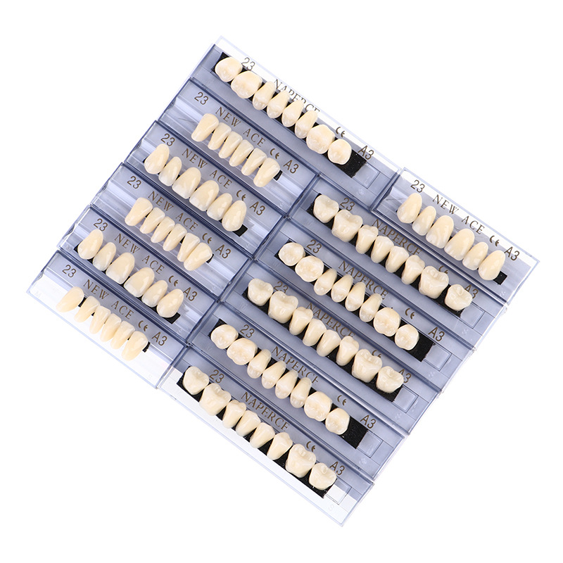 168pcs/box Dental Synthetic Re - Model Kit Ixchel 评论和价格