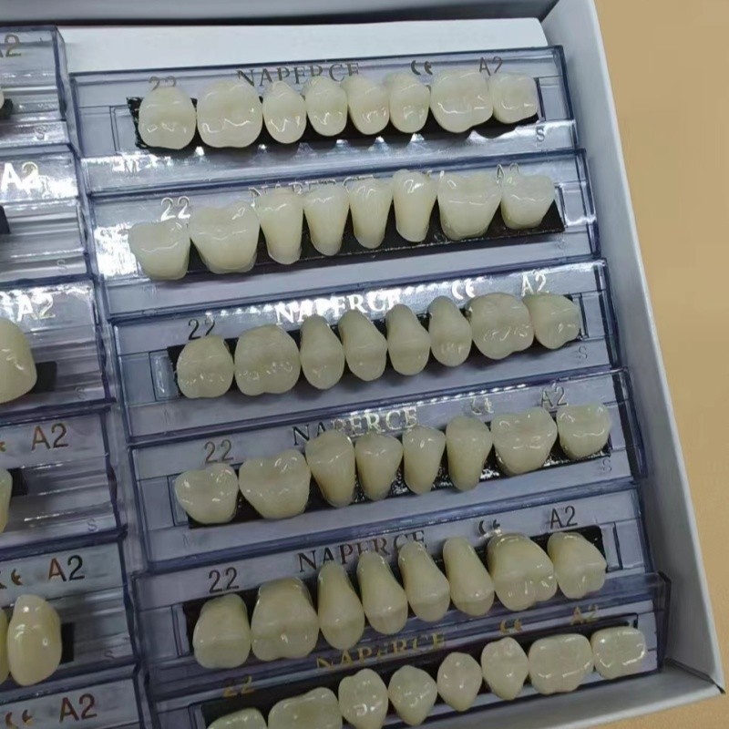 168pcs/box Dental Synthetic Re - Model Kit Ixchel 评论和价格