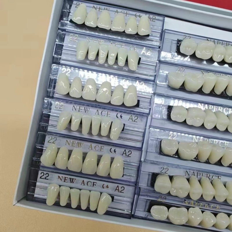168pcs/box Dental Synthetic Re - Model Kit Ixchel 评论和价格