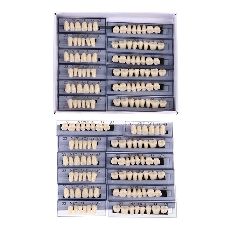 168pcs/box Dental Synthetic Re - Model Kit Ixchel 评论和价格